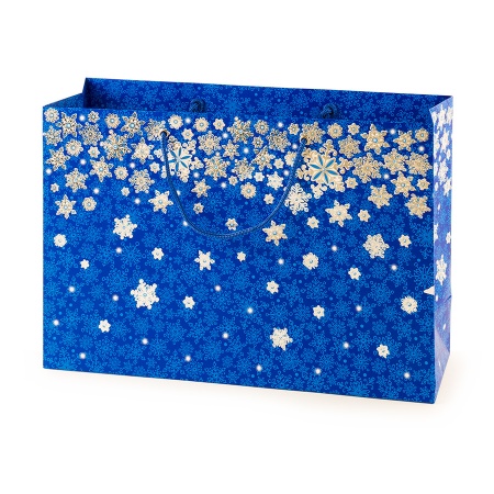 «Джонни» ПТК-01